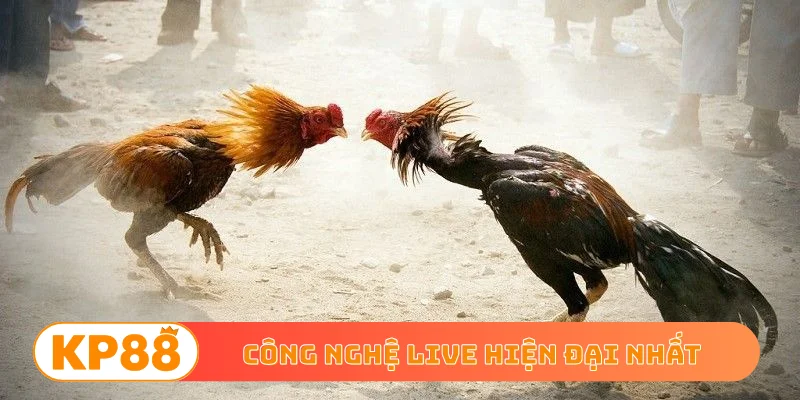 Công nghệ live hiện đại nhất